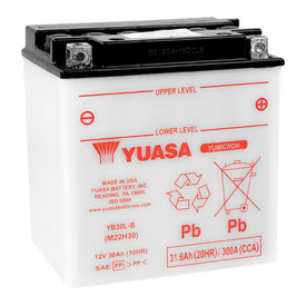 YUASA Standard Battery without Acid YB30LB