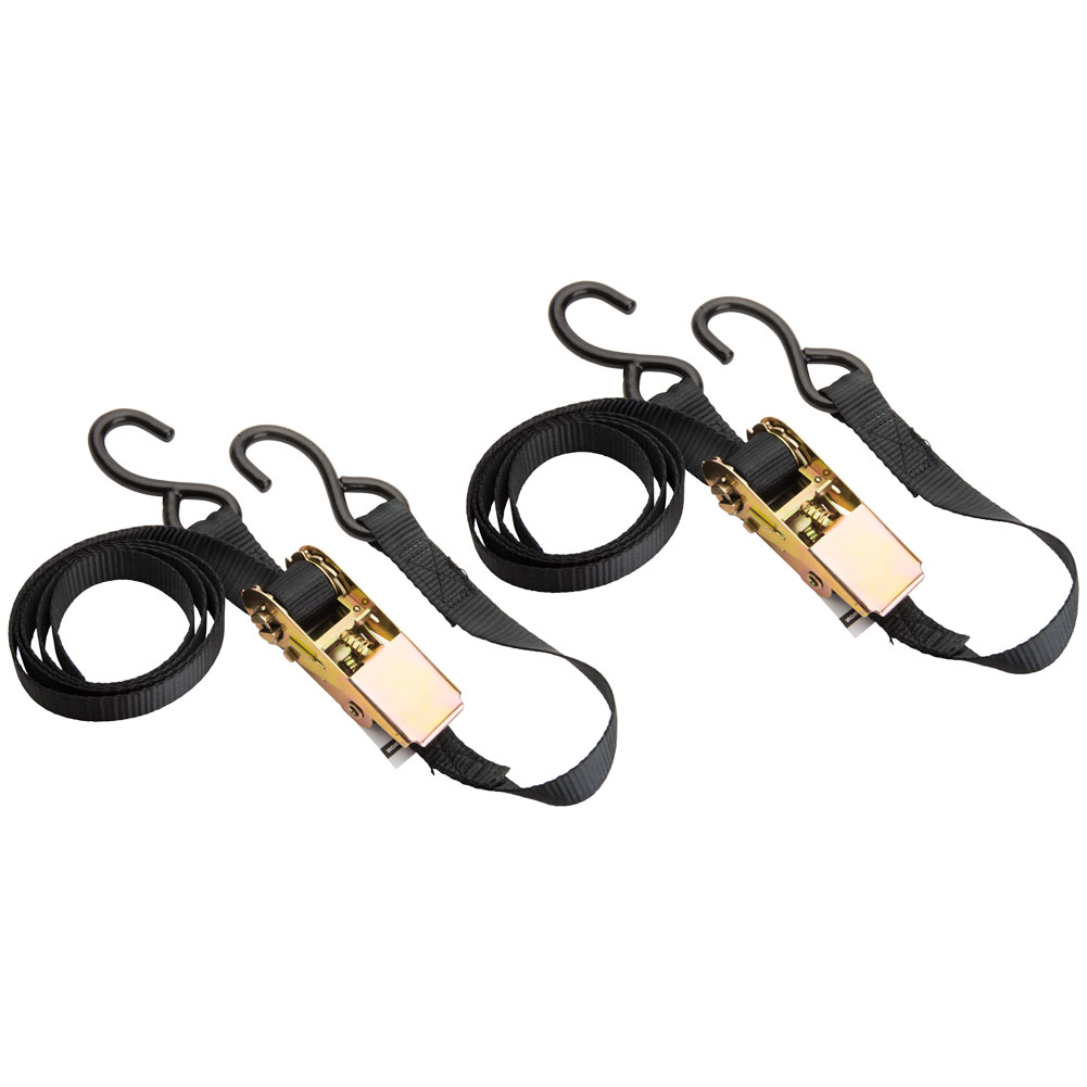 Neutron Ratchet Tie Down