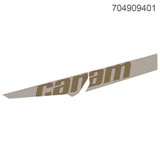 Can-Am OEM Front Door Main Decal Catalyst Grey