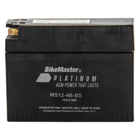 BikeMaster Platinum AGM Maintenance Free Battery