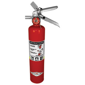 Dragonfire Racing Universal 2.5 Lb Fire Extinguisher  Red