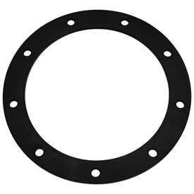 IMS Flat Viton Gasket For Dry Break Receiver