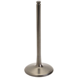 Kawasaki OEM Intake Valves