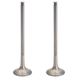 KTM OEM Intake Valves