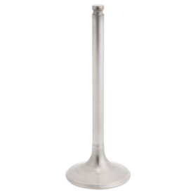 Pro X Titanium Exhaust Valve