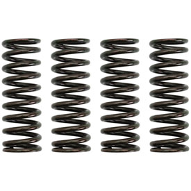Pro X Clutch Spring Kit 