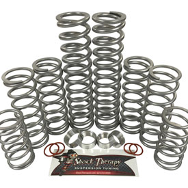 Shock Therapy Level 4 Dual Rate Spring Kit