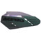 Chameleon Color Option