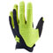 Black/Yellow Color Option