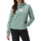 Arctic Blue Color Option