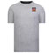 Grey Color Option