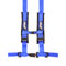 Blue Color Option