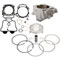 OEM Piston Color Option