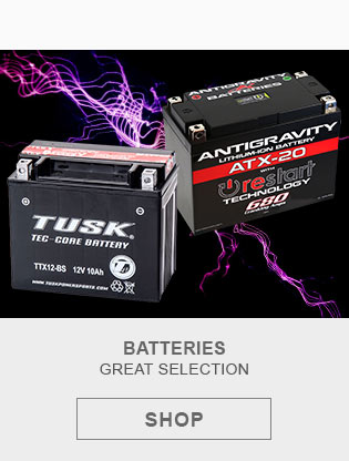 Batteries, Link, shop. Two batteries displayed.  