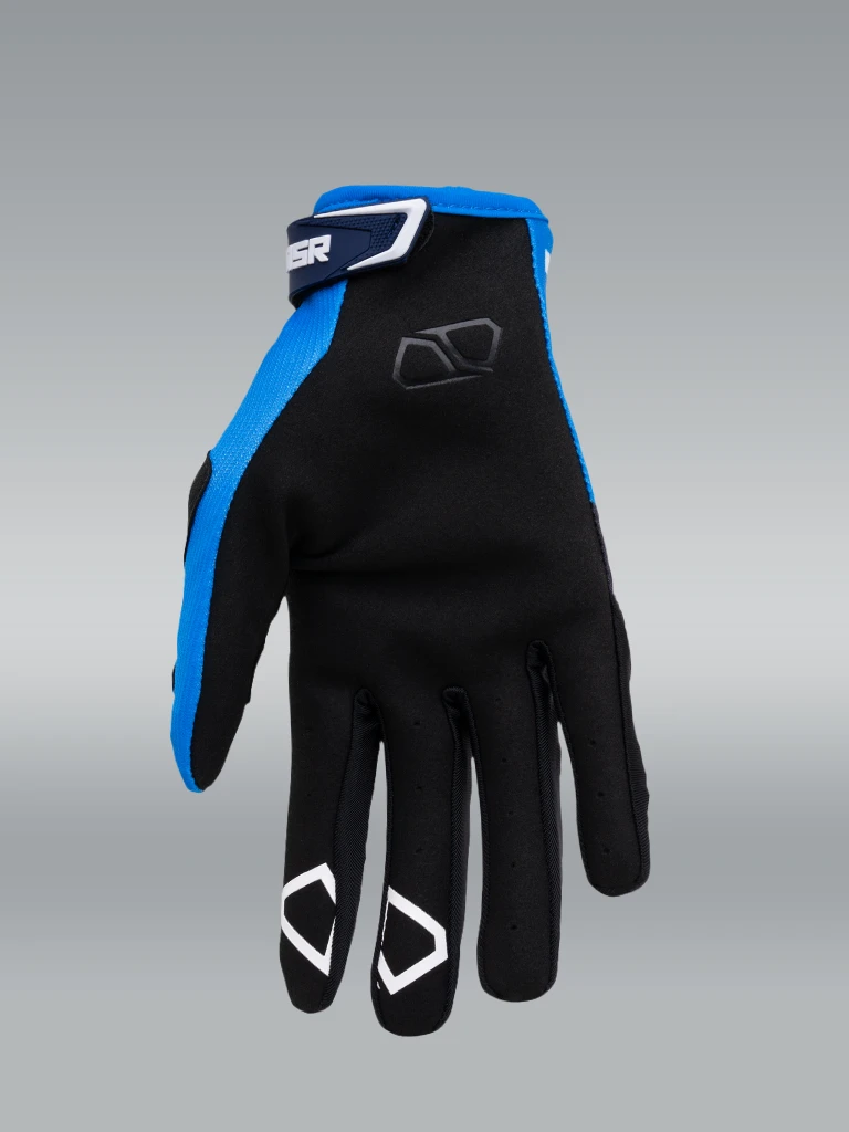 Blue Gloves
