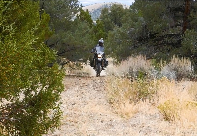 Riding Through Foliage