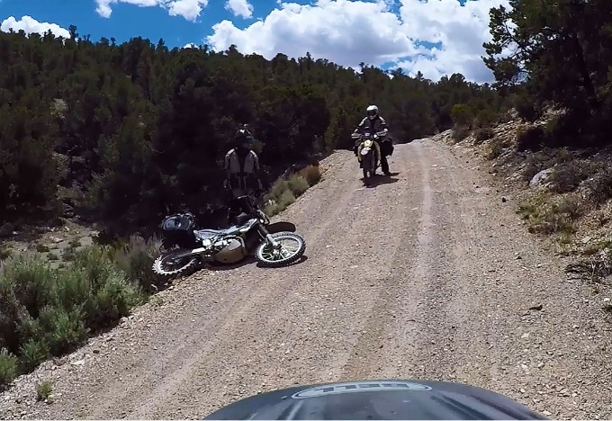 Downed Bike
