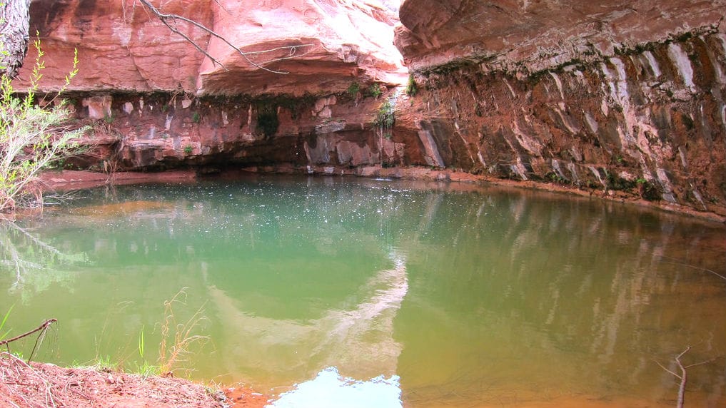 Hog Springs