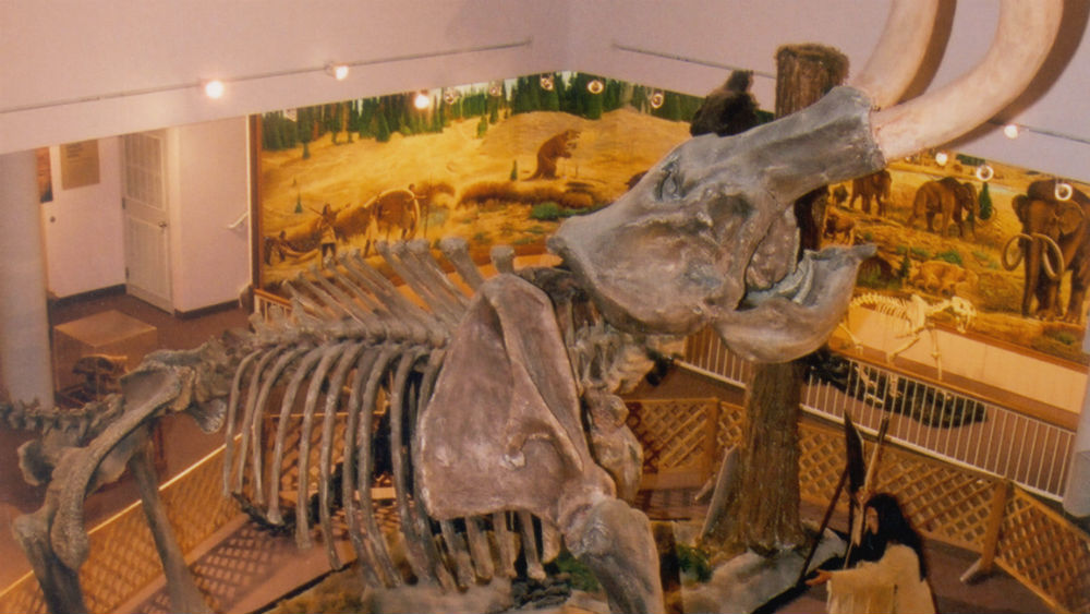 Huntington Mammoth
