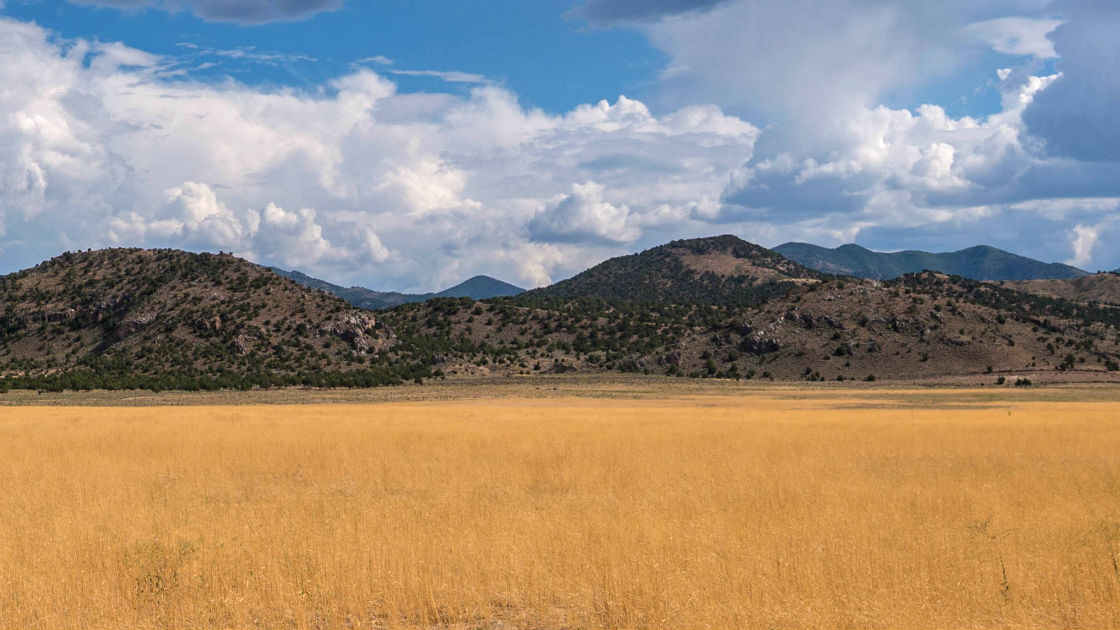 Juab County