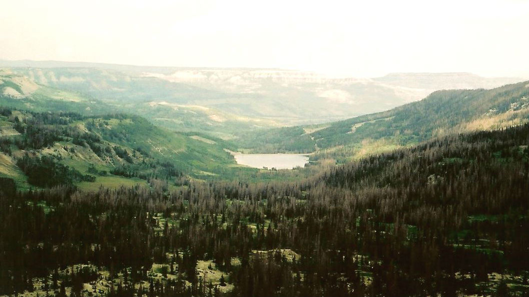Manti La-Sal National Forest
