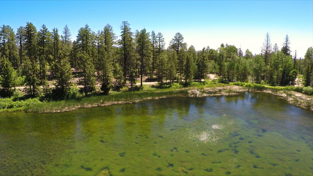 Posey Lake
