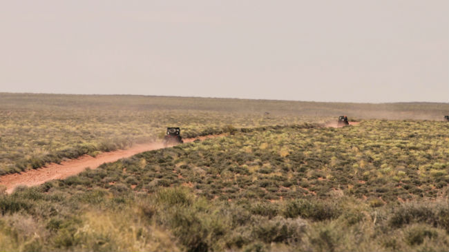 Grey Mesa